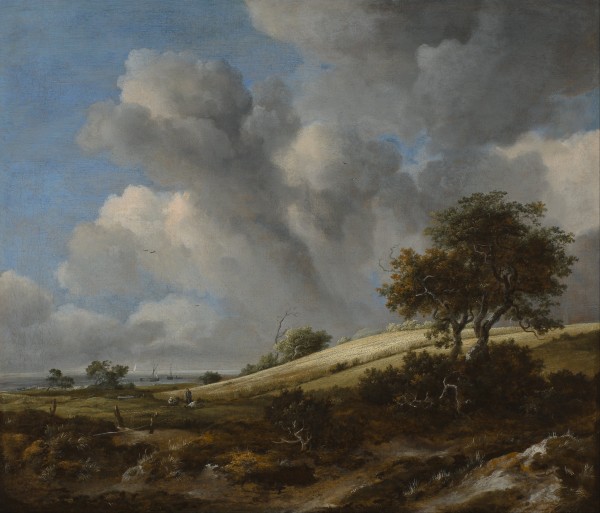 Landscape with a corn field near the sea by Jacob van Ruisdael
